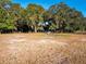 Spacious yard with mature trees, creating a serene and private outdoor setting at 14540 Ne 250Th Ave, Fort Mc Coy, FL 32134