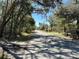 View of the street showcasing lush greenery and mature trees creating a natural setting at 1921 Nw 120Th Ave, Ocala, FL 34482