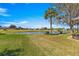 Enjoy this expansive backyard with a tranquil pond view, mature palm tree, and manicured lawn on a sunny day at 1956 Nw 50Th Cir, Ocala, FL 34482