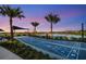 Shuffleboard with palm trees and lake views at sunset at 8843 Sw 57Th Place Rd, Ocala, FL 34481