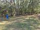 Large backyard with manicured lawn and a backdrop of mature trees at 11860 Nw 18Th Pl, Ocala, FL 34482