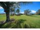 Backyard view highlights the spacious green lawn with mature trees providing ample shade at 8825 Sw 57Th Place Rd, Ocala, FL 34481