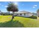 Lush backyard featuring manicured lawn, palm tree, and covered patio offers serene outdoor living at 11013 Se 169Th Pl, Summerfield, FL 34491