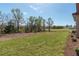 Sprawling backyard with lush greenery and natural landscape at 4869 Nw 101St Street Rd, Ocala, FL 34482