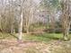 Landscaped backyard with mature trees and grass at 5181 Sw 164Th Street Rd, Ocala, FL 34473