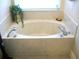 Bathroom with a soaking tub, tile surround, and chrome fixtures offering a relaxing and luxurious bathing experience at 5181 Sw 164Th Street Rd, Ocala, FL 34473