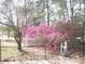 Inviting front yard featuring vibrant azaleas by the white picket fence at 5181 Sw 164Th Street Rd, Ocala, FL 34473