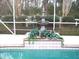 Landscaped pool area features a decorative fountain, adding elegance and tranquility to the outdoor space at 5181 Sw 164Th Street Rd, Ocala, FL 34473