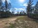 View of land with a cleared dirt road amid natural landscape at Tbd Malauka Rd, Ocklawaha, FL 32179