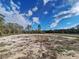 View of cleared land showcasing the natural beauty of the surrounding trees and expansive blue sky at Tbd Malauka Rd, Ocklawaha, FL 32179