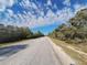 Picturesque street view with lush trees lining both sides under a bright, cloud-filled sky at Tbd Malauka Rd, Ocklawaha, FL 32179