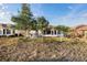 Expansive backyard with mature landscaping, offering ample space for recreation and relaxation at 10071 Sw 90Th Loop, Ocala, FL 34481