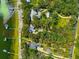 Aerial view of a waterfront estate with mature trees and a private boat dock near the lake at 12336 E Highway 25, Ocklawaha, FL 32179