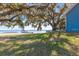 Expansive backyard with mature trees and a glimpse of the lake and dock at 12336 E Highway 25, Ocklawaha, FL 32179