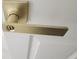 Close-up of a modern, gold-colored door handle on a white door at 12876 Se 42Nd Ct, Belleview, FL 34420