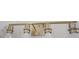 Light fixture with four glass lights and gold colored hardware at 12876 Se 42Nd Ct, Belleview, FL 34420
