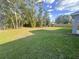 Expansive backyard with lush green grass and mature trees, offering privacy and space at 15055 Se 93Rd Ct, Summerfield, FL 34491