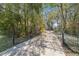 Private gated entrance with an intricate wrought iron gate leading to the property through a tree-lined driveway at 3060 Ne 35Th St, Ocala, FL 34479