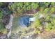 An aerial view of a charming home nestled among lush trees at 3896 Sw 177Th Ter, Dunnellon, FL 34432