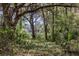Lush backyard featuring mature trees, tropical foliage and views of a bridge in the distance at 8380 Se 7Th Avenue Rd, Ocala, FL 34480