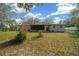 Back of house with a spacious backyard and lush foliage at 8917 Sw 101St Ln, Ocala, FL 34481