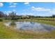 A large pond with fountain surrounded by expansive pastures at 12424 Sw 140Th Loop, Dunnellon, FL 34432