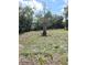 A large backyard featuring grassy areas, trees, and ample space for outdoor activities at 5860 Sw 64Th Street Rd, Ocala, FL 34474