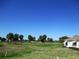 Scenic view of a well-maintained golf course with palm trees under a bright blue sky at 13686 Sw 111Th Ave, Dunnellon, FL 34432