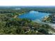 Aerial view of the property showcasing its location on a tranquil lake surrounded by trees at 221 Se 167Th Ct, Silver Springs, FL 34488