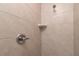 The tiled walk-in shower in the bathroom features a shower head at 59 Fisher Ct, Ocklawaha, FL 32179