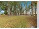 Beautiful, shady backyard with mature trees creating a serene and private outdoor space at 8710 Sw 91St Pl # E, Ocala, FL 34481
