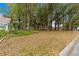 Spacious yard featuring mature trees and lush landscaping, offering shade and natural beauty at 8710 Sw 91St Pl # E, Ocala, FL 34481