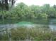 Scenic water view surrounded by lush vegetation, creating a tranquil and natural setting at 9610 Sw 198Th Cir, Dunnellon, FL 34432