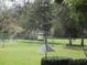 A lush, green backyard with a bird feeder visited by a Bluebird and a chain-link fence at 11792 Sw 137Th Loop, Dunnellon, FL 34432