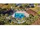 Aerial view of community pool surrounded by palm trees and covered seating areas offering a relaxing outdoor experience at 3616 Ne 17Th Ln, Ocala, FL 34470
