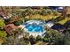 Aerial view of community pool with seating and palm trees for a relaxing outdoor experience in lush surroundings at 3616 Ne 17Th Ln, Ocala, FL 34470