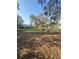 View of an expansive backyard with mature trees, a lawn, and some garden beds, ideal for outdoor activities at 13949 Se 53Rd Ave, Summerfield, FL 34491