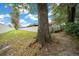 View of the backyard with a large tree and green space at 1902 Se 37Th Court Cir, Ocala, FL 34471