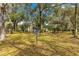 Spacious, tree-filled backyard with disc golf basket, play structure, and room for a pool at 3621 Sw 52Nd Ter, Ocala, FL 34474