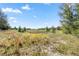 Scenic backyard view overlooking a lush green field and distant trees under a bright blue sky at 530 Nw 113Th Cir, Ocala, FL 34482