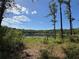 Picturesque view of a calm pond framed by trees and foliage under a bright, partly cloudy sky at 1192 Ne 130Th Ter, Silver Springs, FL 34488