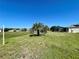 Spacious backyard with green lawn and palm trees, great for outdoor activities at 15702 Sw 16Th Avenue Rd, Ocala, FL 34473