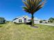 View of the home's front yard with a large palm tree in front at 15702 Sw 16Th Avenue Rd, Ocala, FL 34473