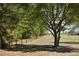 Spacious yard featuring a mature tree and wooden fence, creating a peaceful backyard space at 2061 Nw 165Th Court Rd, Dunnellon, FL 34432