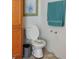 Toilet and built-in cabinet in the bathroom at 2061 Nw 165Th Court Rd, Dunnellon, FL 34432