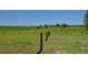 Idyllic scene of green pasture land fenced, providing a secure environment at 2061 Nw 165Th Court Rd, Dunnellon, FL 34432