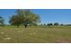 A sprawling green field with scattered trees under a clear blue sky at 2061 Nw 165Th Court Rd, Dunnellon, FL 34432