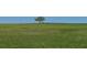 Picturesque land featuring gentle slopes, mature trees, and lush green space, providing a tranquil setting at 2061 Nw 165Th Court Rd, Dunnellon, FL 34432