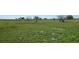 Sprawling land with a fence and scattered trees, offering potential for various outdoor activities and development at 2061 Nw 165Th Court Rd, Dunnellon, FL 34432