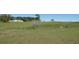 Expansive grassy land with scattered trees, providing ample space and natural beauty, ideal for various uses at 2061 Nw 165Th Court Rd, Dunnellon, FL 34432